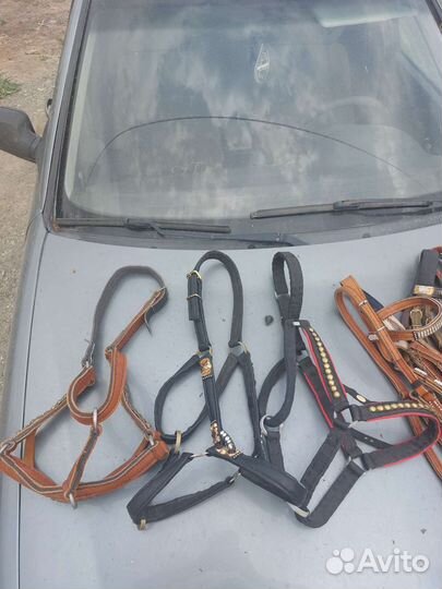 Уздечка для лошади