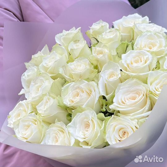 Букет из 25 белых роз (моно 035)