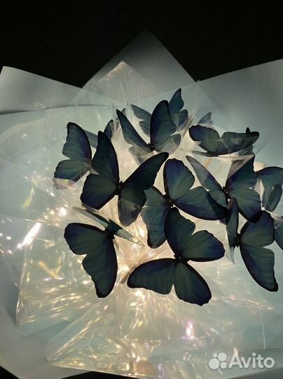 Букет из бабочек