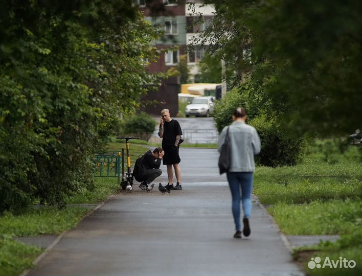 Sigma AF 300mm 4 HSM Canon