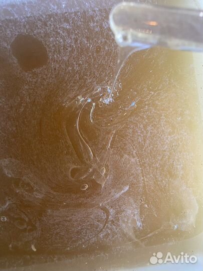 Майский мед 2023