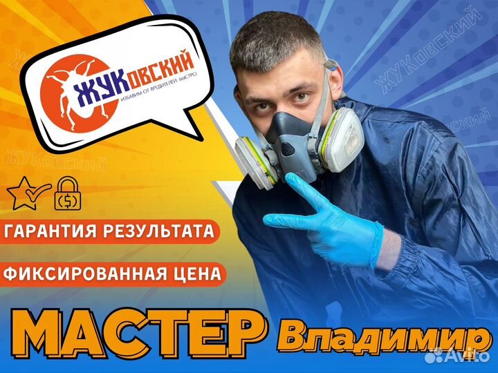 Уничтожение тараканов, клопов