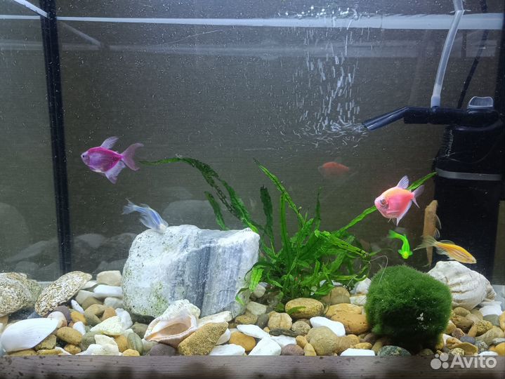 Аквариум 15 литров