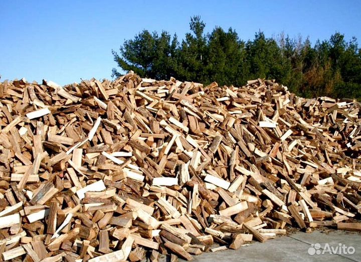 Дрова Осиновые