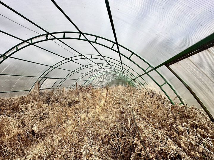 Участок 20 сот. (ИЖС)