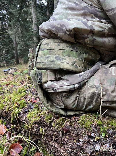 Пятиточичник штурмовой