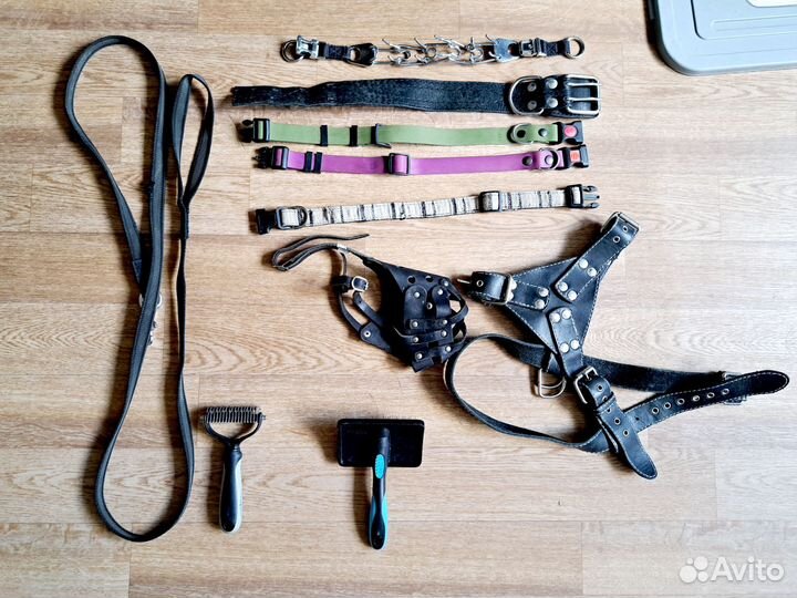 Амуниция для собак