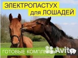 Электропастух