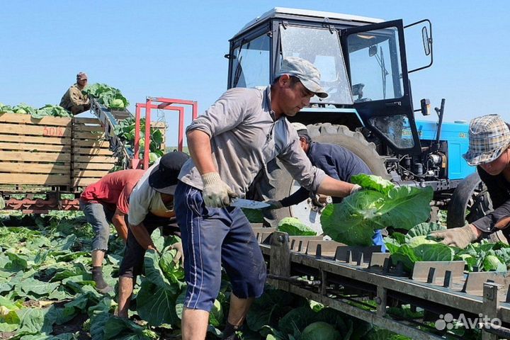 Ищу инвестора. доход от 400к