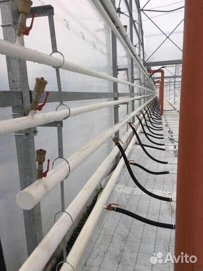 Отопление фермерских теплиц и тепличных комплексов