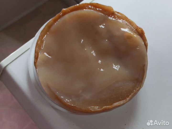 Чайный гриб комбуча