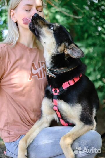 Жизнерадостная Рут ищет дом