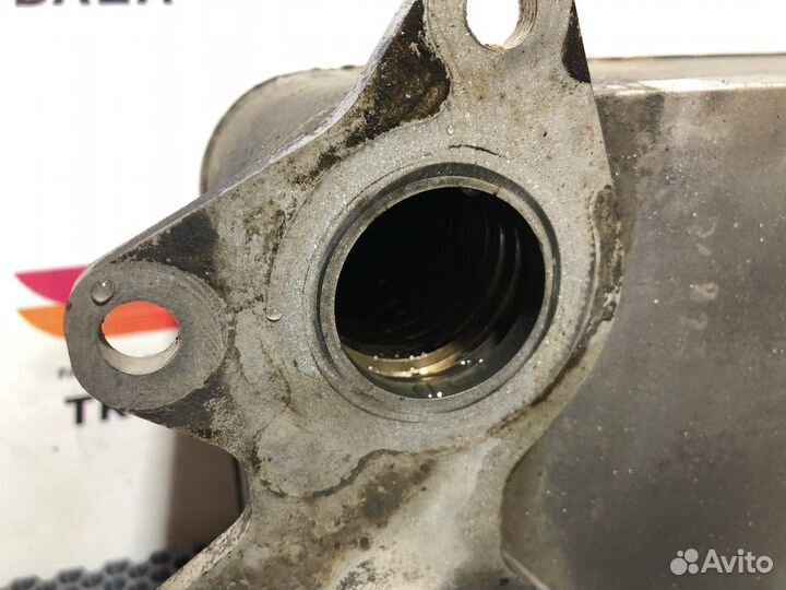 Радиатор масляный кпп ZF Daf XF105