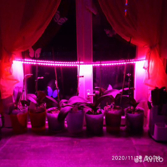 Фитолента,Ультрафиолет для растений (0.5м)