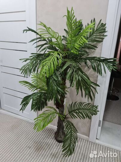 Искусственная пальма