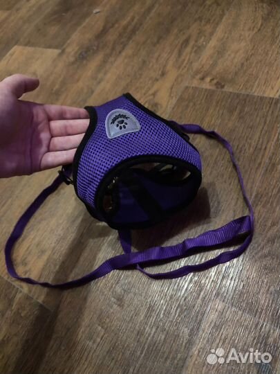 Шлейка с поводком