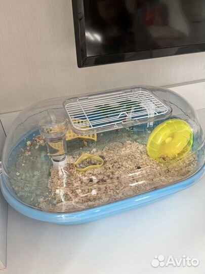 Клетка для грызуна (оазис)