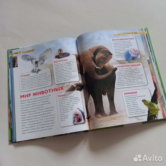 Книга энциклопедия