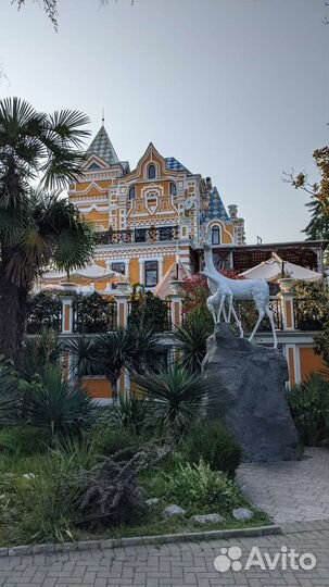 Индивидуальный тур по Центральному Сочи