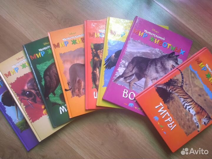 Книги детские про животных, 8 шт с игрушкой
