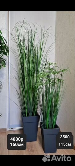 Декоративная трава, искусственное растение