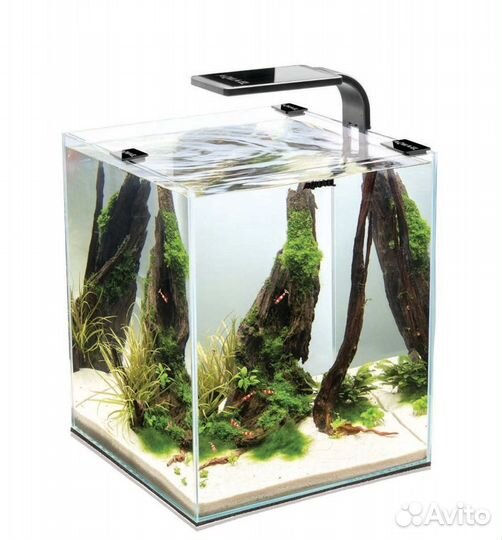 Aquael shrimp SET smart plant ll 10 чёрный