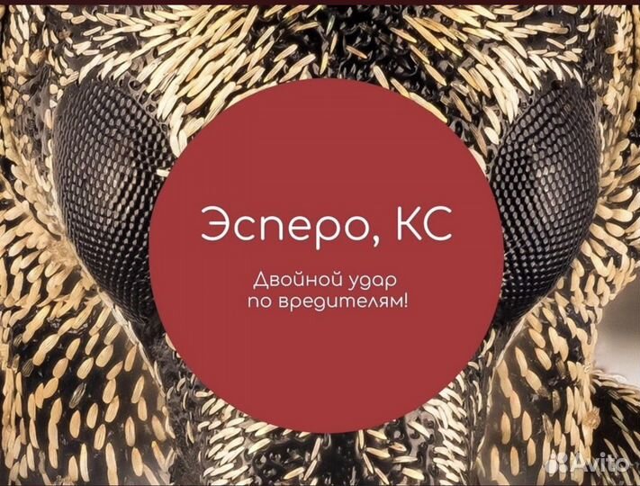 Средства защиты растений