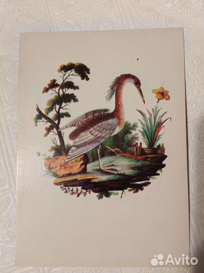 Открытка советская, 1974 год