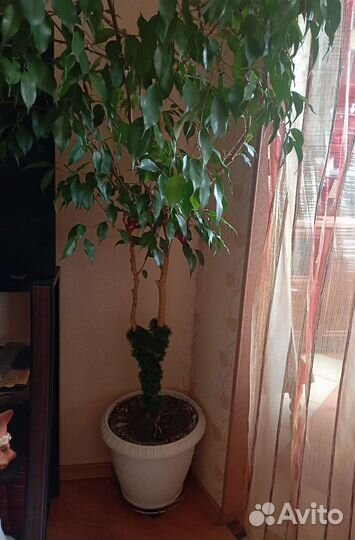 Подставка под цветы Пальмина