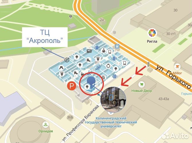 Apple MacBook Pro 16 (M1 Pro) 16/512Gb Space Gray