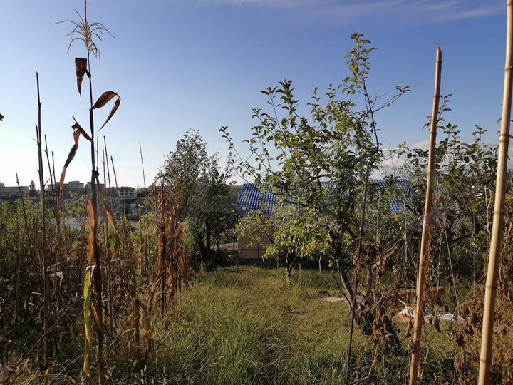 Участок 20 сот. (ИЖС)