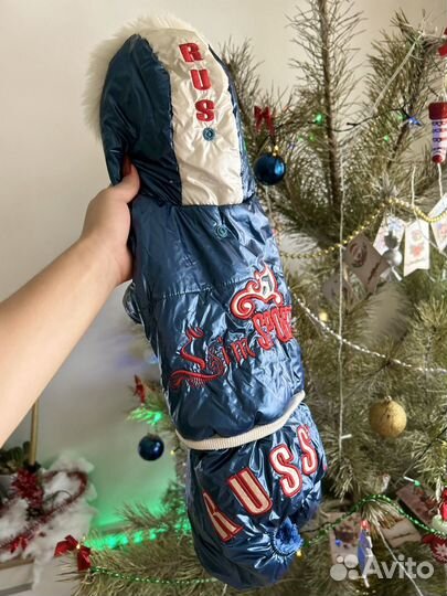 Одежда доя собак