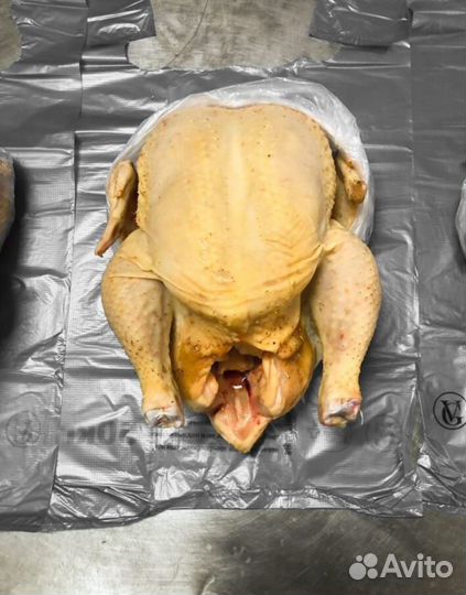 Куры бройлеры тушки мясо