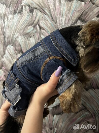 Комбез для животных