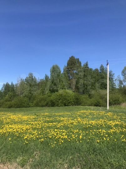 Участок 19 сот. (ИЖС)