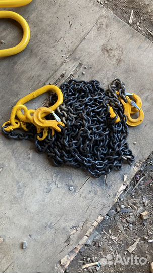 Цепные пауки чалки