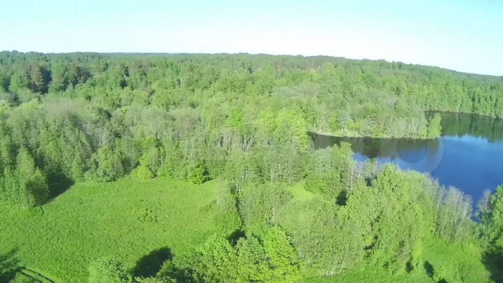 Участок 1,12 га (СНТ, ДНП)