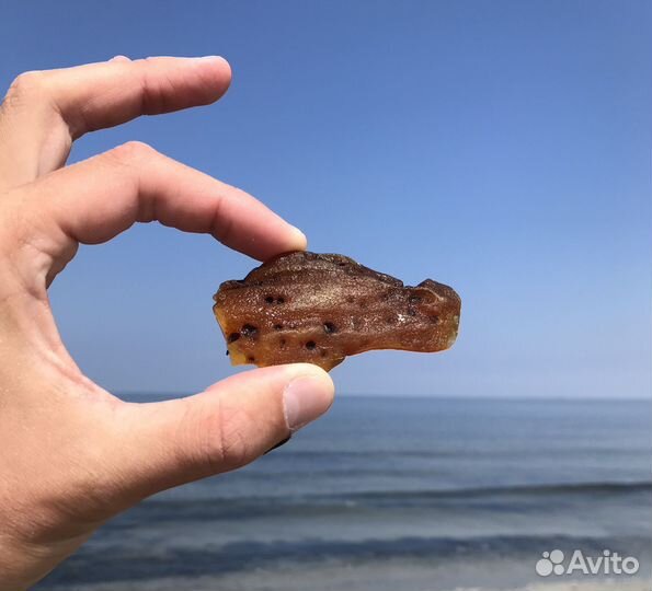 Экскурсии на Куршскую косу