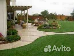 Рулонный газон от производителя