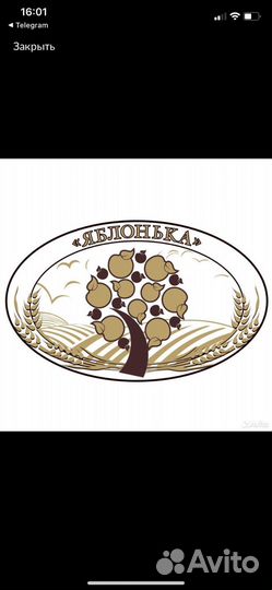 Продавец сети кондитерских 