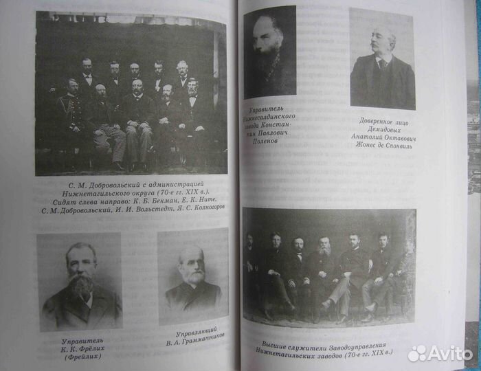 Мамин-Сибиряк. Горное гнездо. Лучшее издание