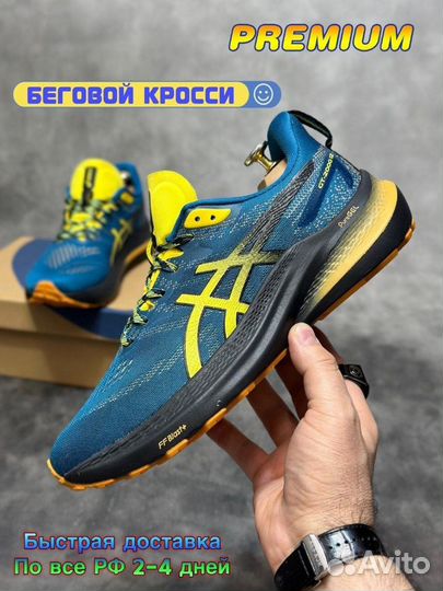 Кроссовки мужские asics GT-2000 12 для бега