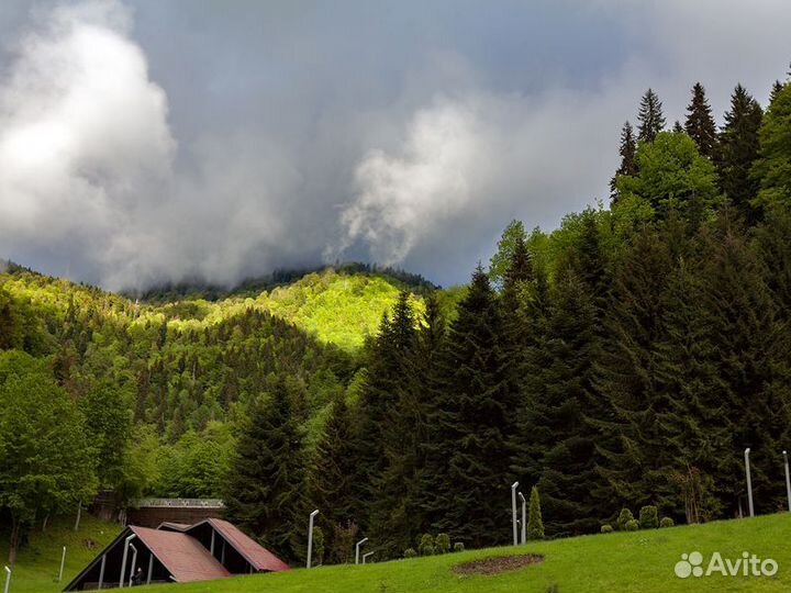Экскурсия — Кутаиси — Минеральные воды, вино и хач