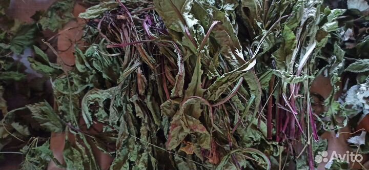 Лекарственные и луговые травы