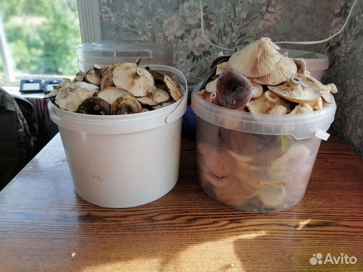 Грибы грузди свежие