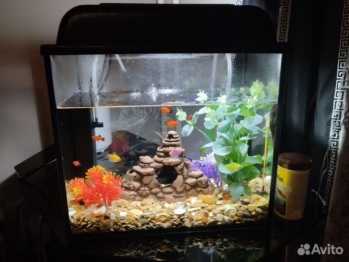 Аквариум