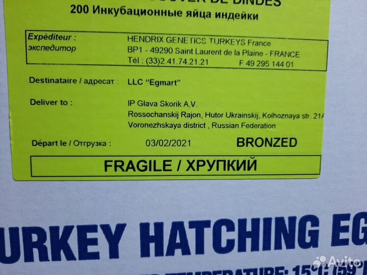 Инкубационное яйцо Индейки и Бройлера Импорт