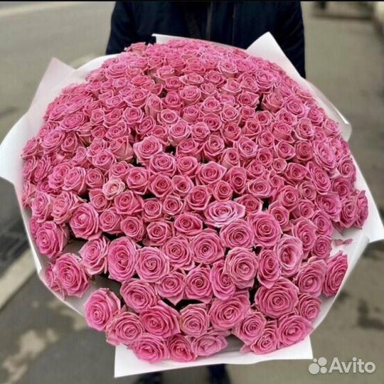 Букет из 201 розы