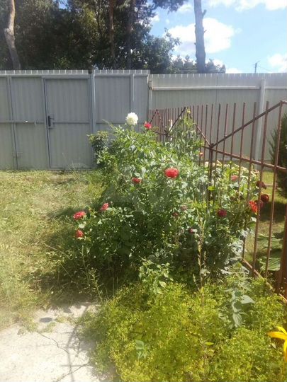 Дача 60 м² на участке 7 сот.