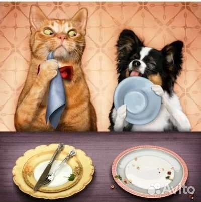 Ветеринарный врач-диетолог